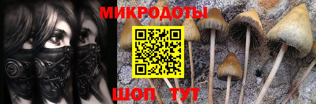 Галлюциногенные грибы GOLDEN TEACHER  Вход с VPN  где купить наркоту  Лесосибирск 